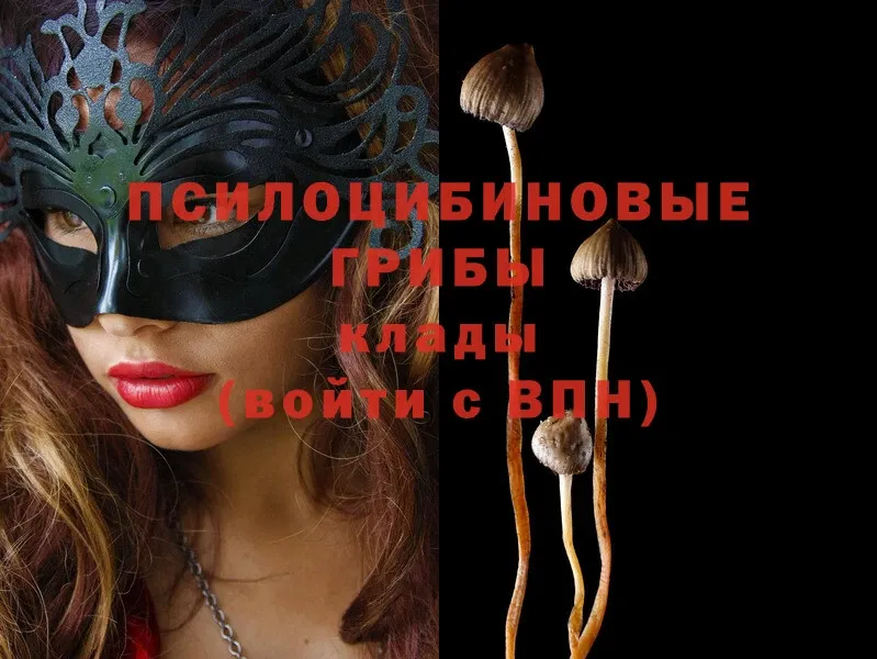 Псилоцибиновые грибы Magic Shrooms  купить наркоту  KRAKEN ССЫЛКА  Горячий Ключ 